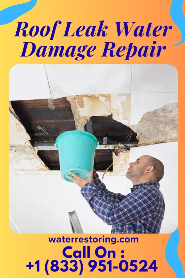 Roof Leak Water Damage Repair in Shoreline, WA